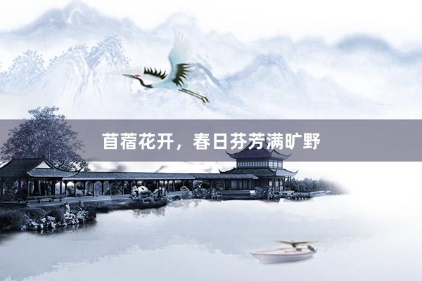 苜蓿花开，春日芬芳满旷野