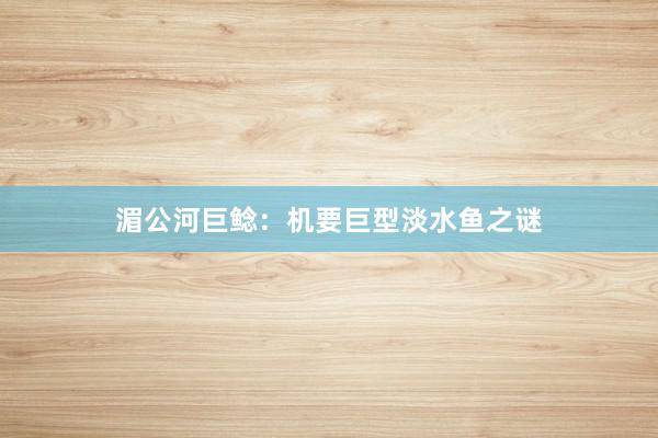 湄公河巨鲶：机要巨型淡水鱼之谜