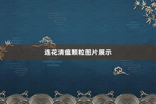连花清瘟颗粒图片展示